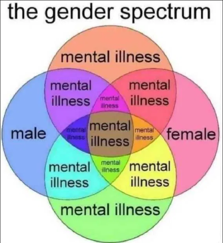gender-spectrum