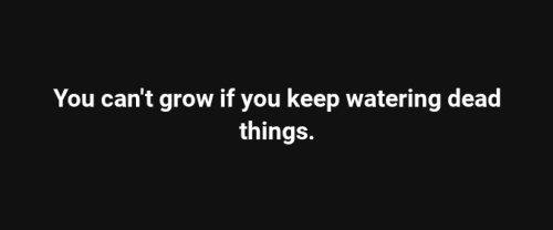 Screenshot 2025-07-19 6.05.13 PM