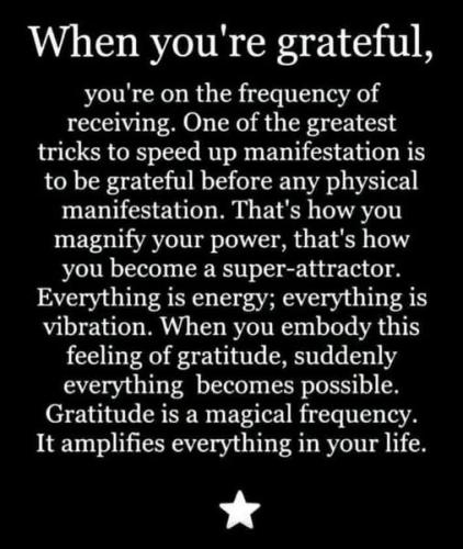 514059835_732836522965876_2530023139954378120_n