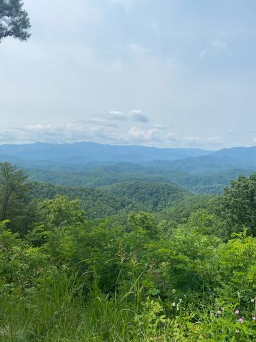 A56E1976-824F-48AD-AFAA-C9383208E7C4