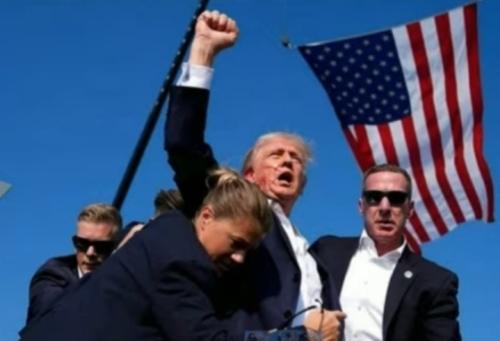 Screenshot_20250713_080153_Gallery