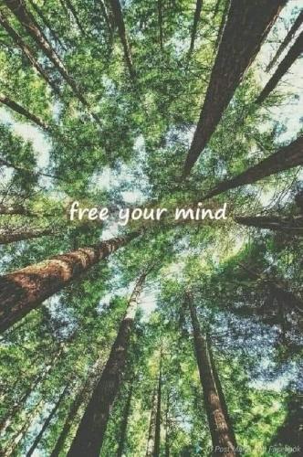 515495600_740404261689136_3463273730711741462_n