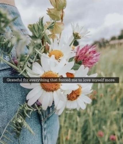 518307846_122219685530088259_4655663954091550161_n