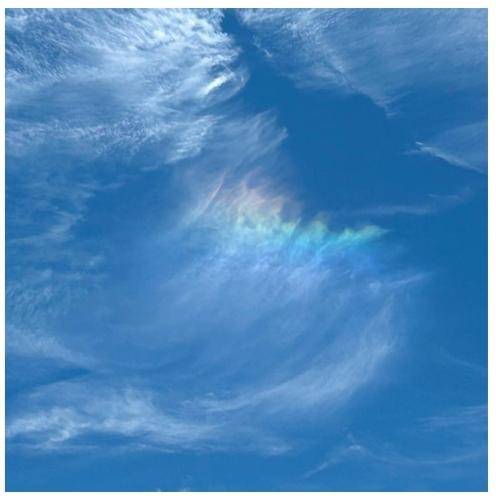 50509c71-6f19-4908-9a16-cdca3553813f