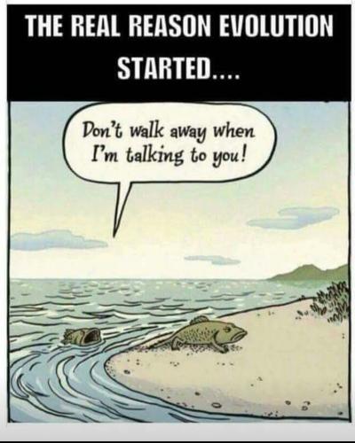 real reason for evolution