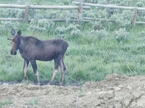 IMG_20250630_064117077