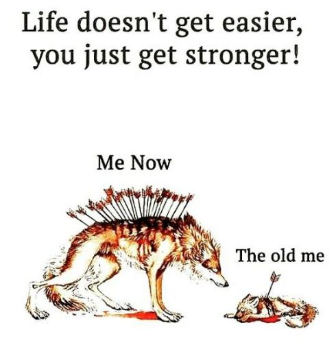 d341a56ea69c4d64c1d9a1dbfa01adbc