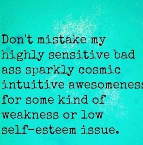 514420171_737186275864234_6763685974938967692_n