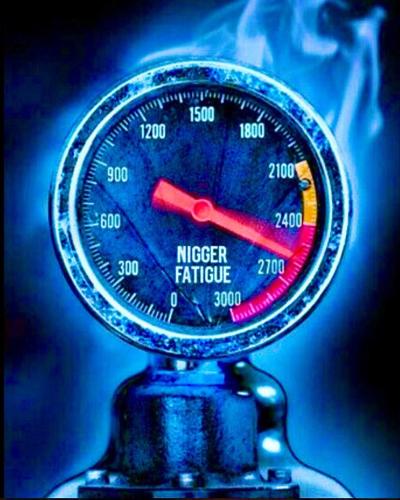 IMG_20250713_104959_953