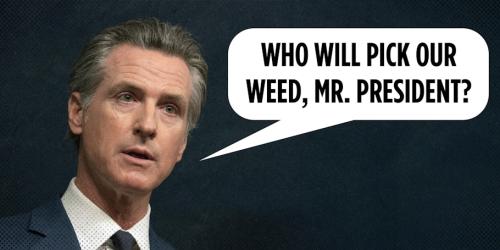 000000000000000000000000000000000000000000000000000000000000000000000000000000000000000000000000000000000000000000000000000000000000000000000000000000000000000000000000000000000000000000000000000000000000000000nmy