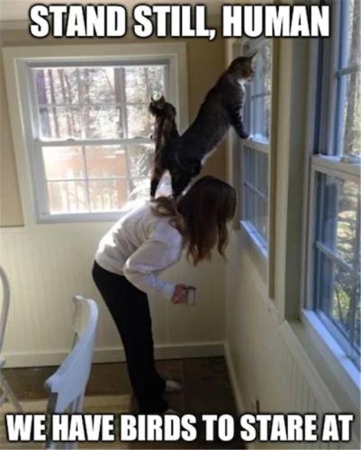 8b7458a7e2cc3378a13396e745ca1057