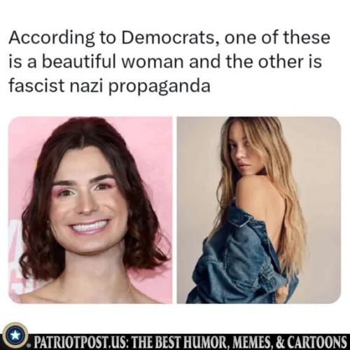 according-to-liberals