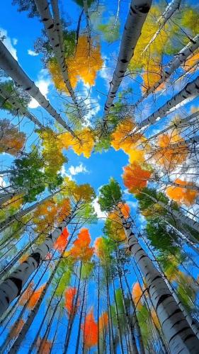 02f664ce2dbaae974865a5ad5e915c8e