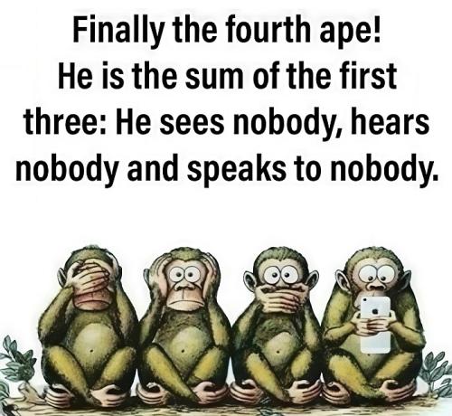4th ape