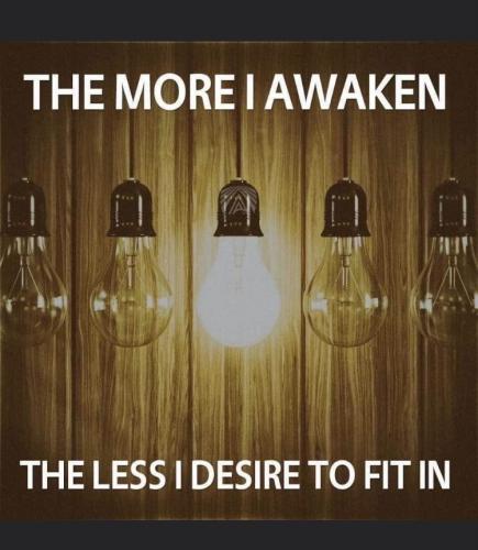 1ca2e300b464ba44015cd1adbbe3c032