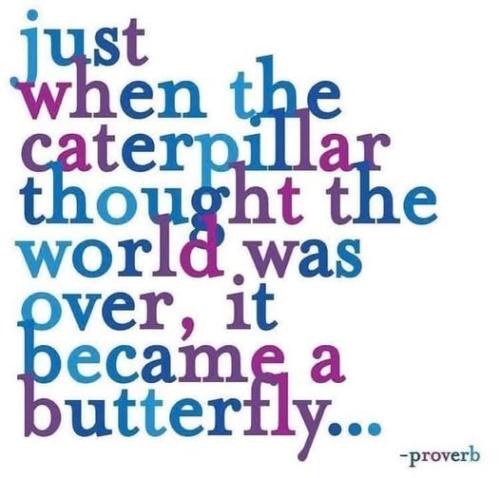 515064810_737746209141574_168992626205907640_n