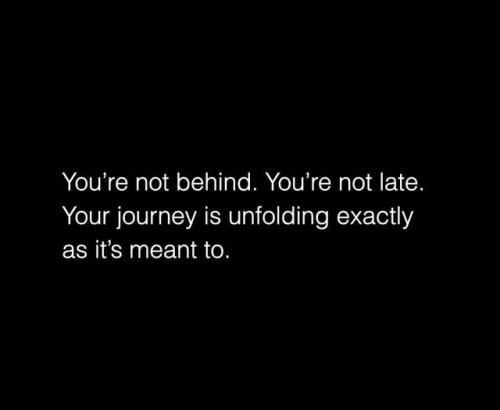 516653632_766536605715491_9000446299817215663_n