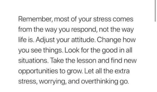 517687648_743803108535884_4322986579640219345_n