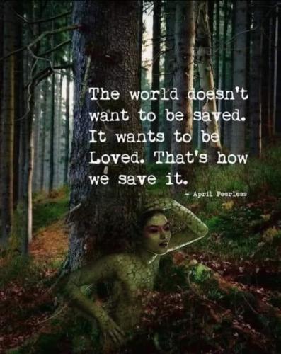 524890380_736334829104593_7360809971816604152_n