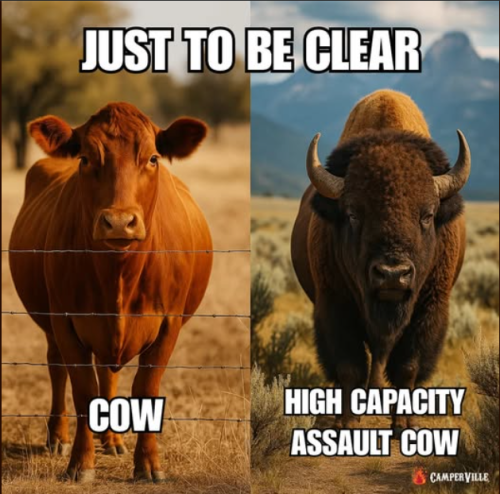 Screenshot 2025-07-07 073216