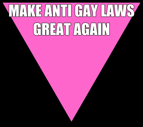 AA Make anti gay laws great again 2