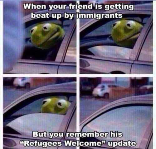 when your friend is getting beat up by immigrants