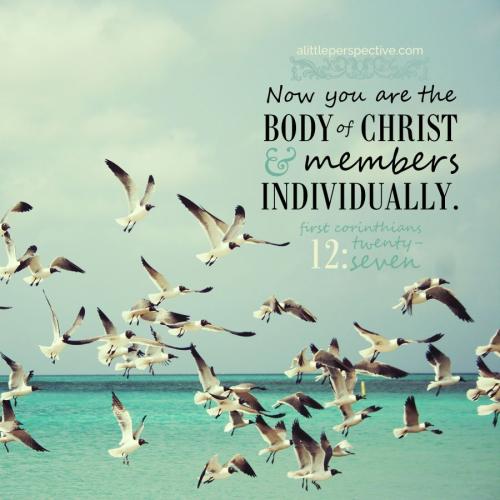 1-cor-12-27-ww-pixabay-9x