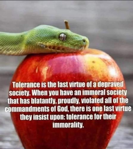 31695be2-03ab-4e5b-886d-ed3d8e61264b