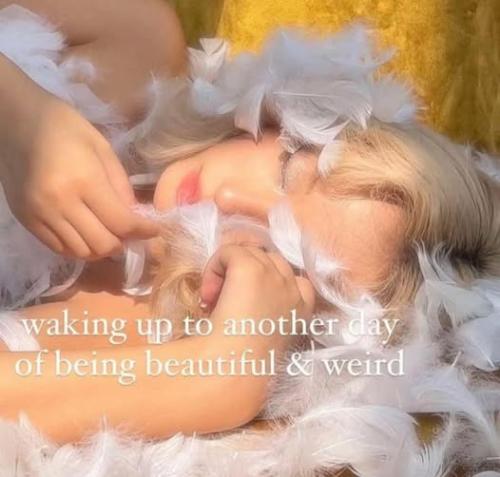 521184350_122220576344088259_4978167623268545606_n