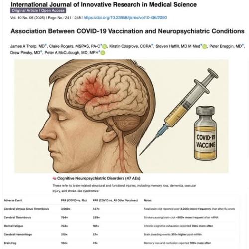 516577154_1301271195339384_7738721512767875074_n