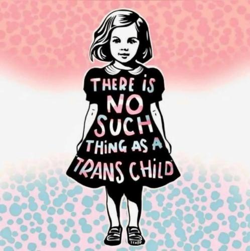 02d9b511-340c-4aaa-a2f7-7f455d658fb1