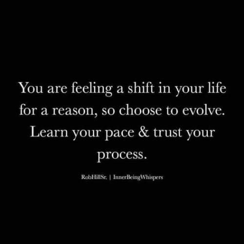 517247589_742718211977707_3105137155430525128_n