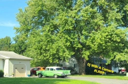 Screenshot_20250707_185330_Gallery