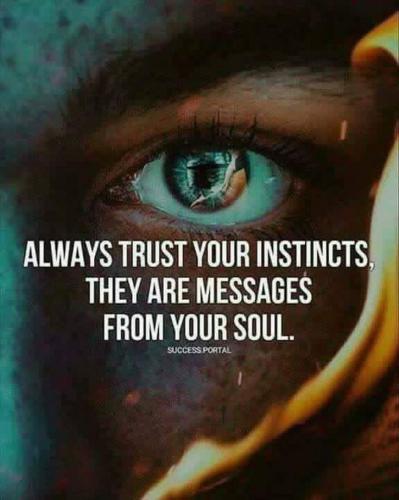 d3d4069053288f6c73a19dd83882ec43