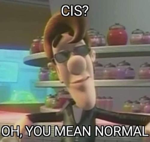 FB_IMG_1753195102319