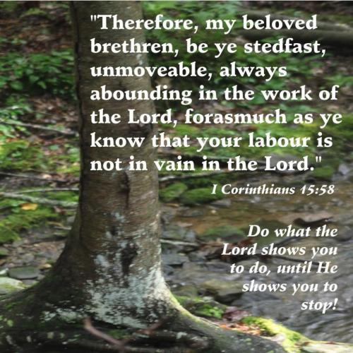 3d0d3ac5-718e-41bb-a997-9740103a3837