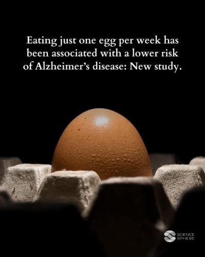 37d7dd8e-7825-4f94-9661-452cb3ad41a6