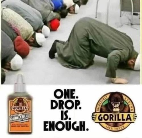 FB_IMG_1753919456133