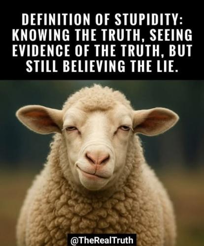 518330060_1186550749942646_8046000195183861584_n