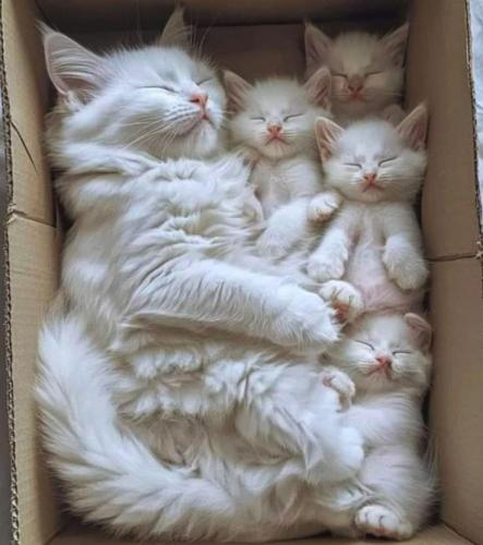 c7a7281db1798fb2670e646d67e5c7fe