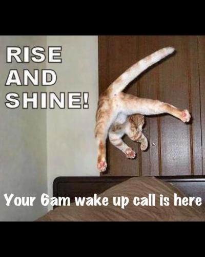 4938c19c46d599f626d4f4aa7e77e994