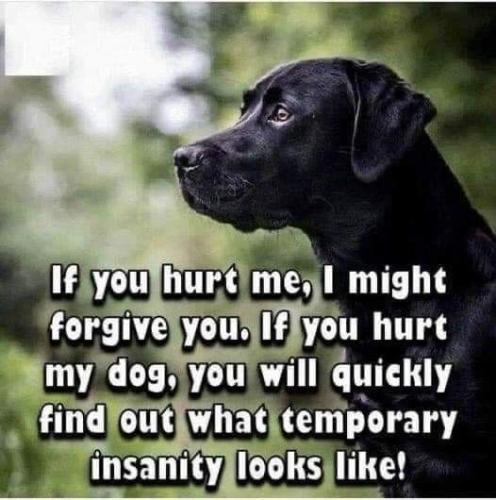 7667d822361d2b503eddc21b4730287d