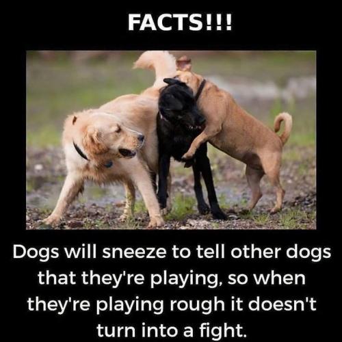 cff53ae7dda4fbbc281250c920c22399