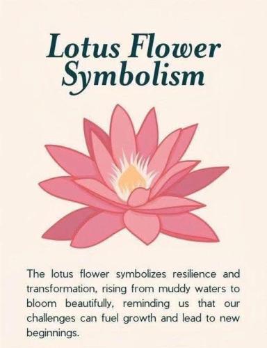 514948254_1551541089139136_7531171588909066365_n