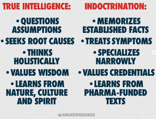 Screenshot 2025-07-26 083953