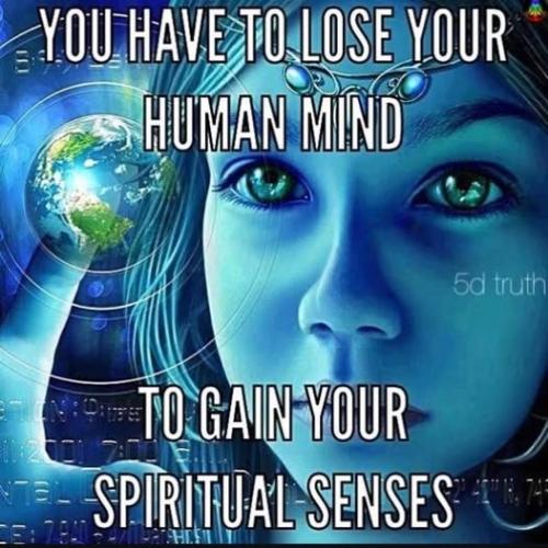 518273766_24084385474511563_1987900004420059087_n