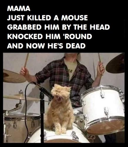 killed a mouse