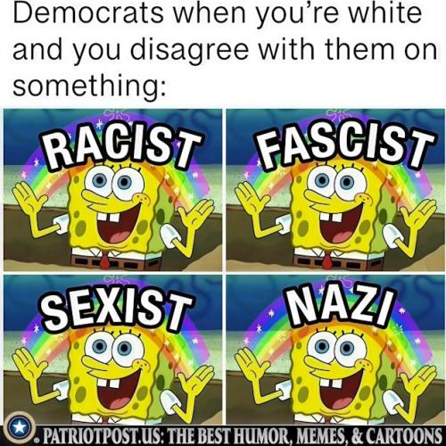 01K0VX8G6HASP9RJ3CK056MB9X