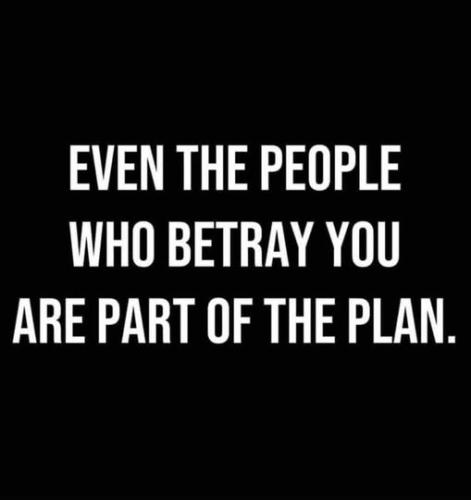 518040122_750387664544095_4541759994252746172_n