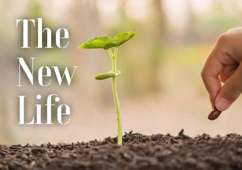 18400e70-e0ec-4cbb-aa0e-600c0ad5b7a9